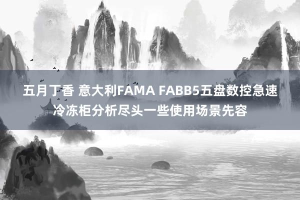 五月丁香 意大利FAMA FABB5五盘数控急速冷冻柜分析尽头一些使用场景先容