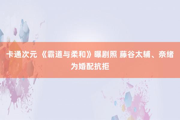 卡通次元 《霸道与柔和》曝剧照 藤谷太辅、奈绪为婚配抗拒