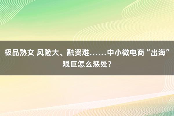 极品熟女 风险大、融资难……中小微电商“出海”艰巨怎么惩处？