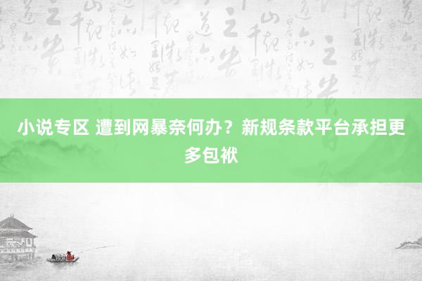 小说专区 遭到网暴奈何办？新规条款平台承担更多包袱