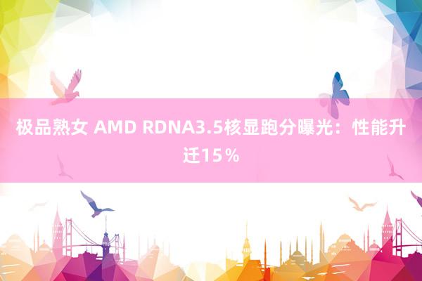 极品熟女 AMD RDNA3.5核显跑分曝光：性能升迁15％