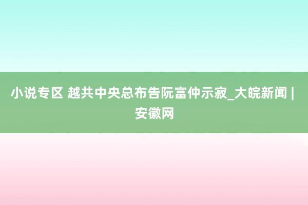 小说专区 越共中央总布告阮富仲示寂_大皖新闻 | 安徽网