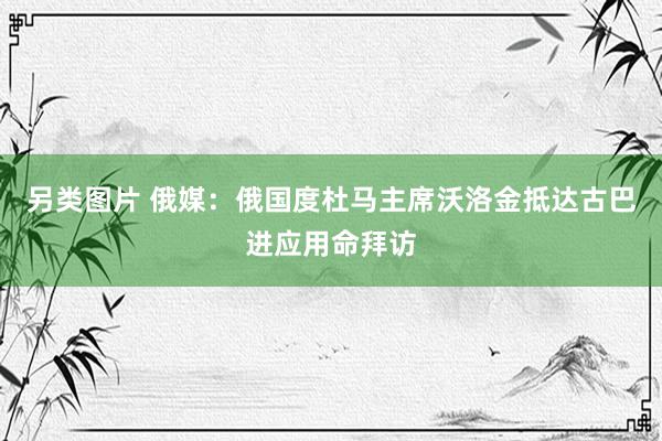 另类图片 俄媒：俄国度杜马主席沃洛金抵达古巴进应用命拜访