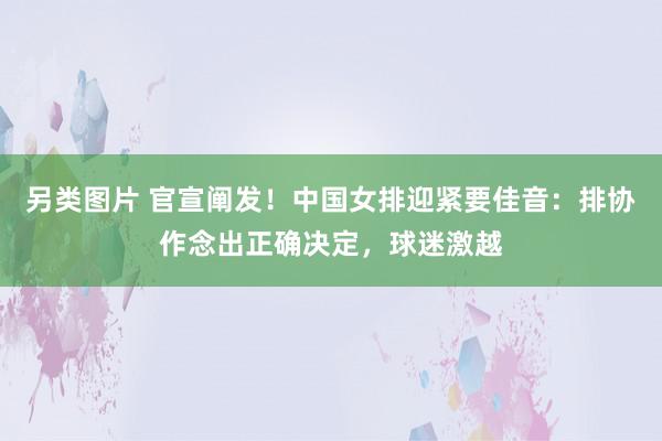 另类图片 官宣阐发！中国女排迎紧要佳音：排协作念出正确决定，球迷激越