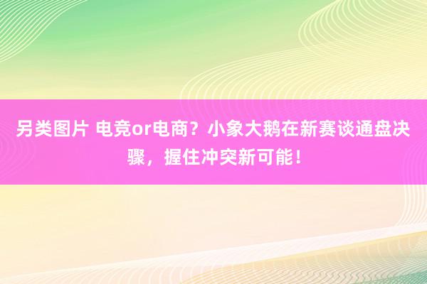 另类图片 电竞or电商？小象大鹅在新赛谈通盘决骤，握住冲突新可能！