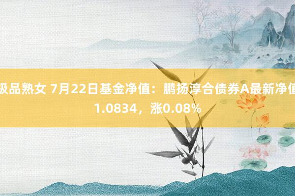 极品熟女 7月22日基金净值：鹏扬淳合债券A最新净值1.0834，涨0.08%