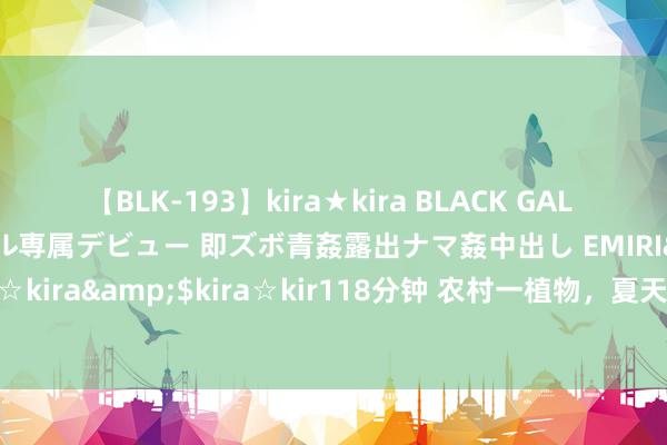 【BLK-193】kira★kira BLACK GAL DEBUT 日焼け黒ギャル専属デビュー 即ズボ青姦露出ナマ姦中出し EMIRI</a>2014-11-19kira☆kira&$kira☆kir118分钟 农村一植物，夏天用来沏茶喝，清热祛湿，贬责男女夏天的许多苦恼