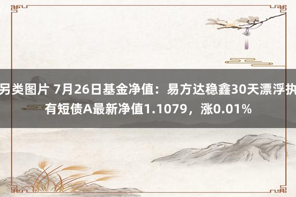 另类图片 7月26日基金净值：易方达稳鑫30天漂浮执有短债A最新净值1.1079，涨0.01%