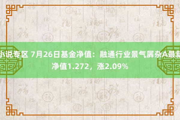 小说专区 7月26日基金净值：融通行业景气羼杂A最新净值1.272，涨2.09%