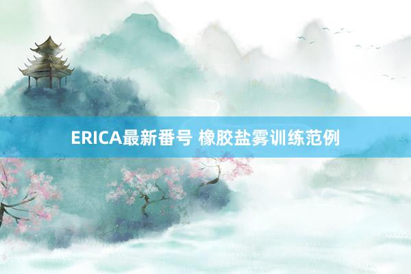 ERICA最新番号 橡胶盐雾训练范例