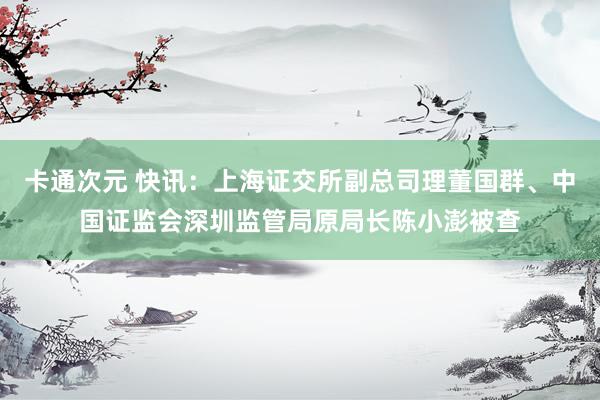 卡通次元 快讯：上海证交所副总司理董国群、中国证监会深圳监管局原局长陈小澎被查