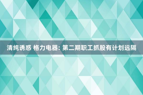 清纯诱惑 格力电器: 第二期职工抓股有计划远隔