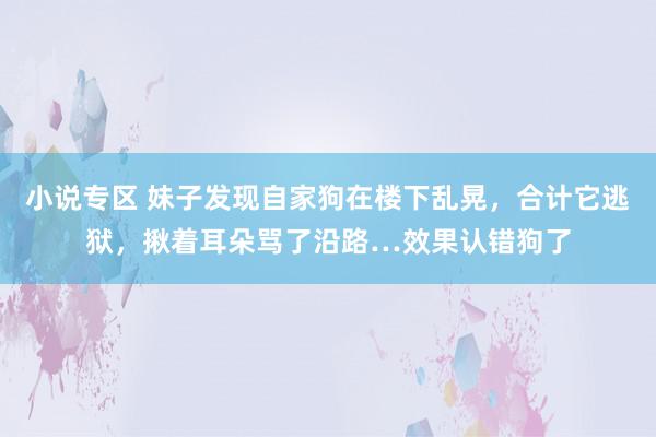 小说专区 妹子发现自家狗在楼下乱晃，合计它逃狱，揪着耳朵骂了沿路…效果认错狗了