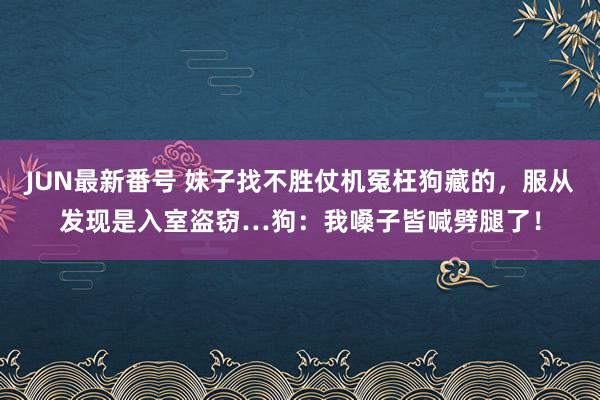 JUN最新番号 妹子找不胜仗机冤枉狗藏的，服从发现是入室盗窃…狗：我嗓子皆喊劈腿了！