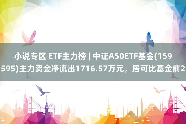 小说专区 ETF主力榜 | 中证A50ETF基金(159595)主力资金净流出1716.57万元，居可比基金前2