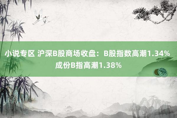 小说专区 沪深B股商场收盘：B股指数高潮1.34% 成份B指高潮1.38%