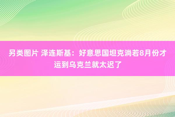 另类图片 泽连斯基：好意思国坦克淌若8月份才运到乌克兰就太迟了