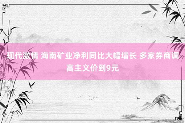 现代激情 海南矿业净利同比大幅增长 多家券商调高主义价到9元