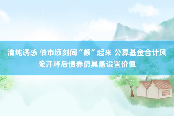 清纯诱惑 债市顷刻间“颠”起来 公募基金合计风险开释后债券仍具备设置价值