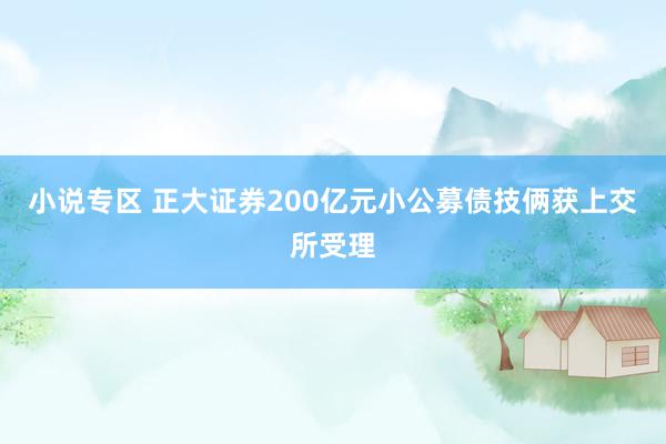 小说专区 正大证券200亿元小公募债技俩获上交所受理