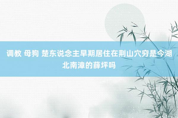 调教 母狗 楚东说念主早期居住在荆山穴穷是今湖北南漳的薛坪吗