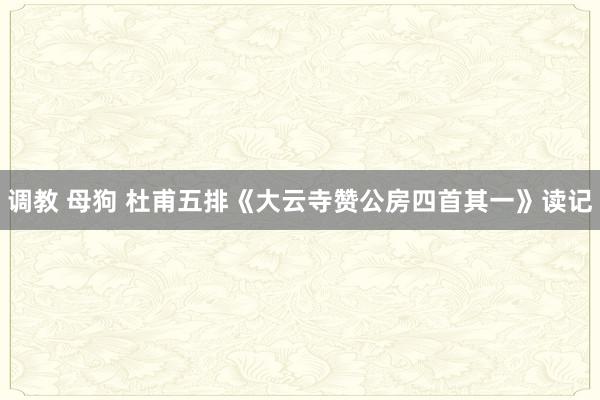 调教 母狗 杜甫五排《大云寺赞公房四首其一》读记