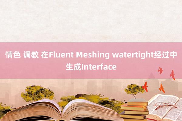 情色 调教 在Fluent Meshing watertight经过中生成Interface