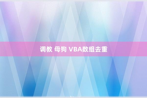 调教 母狗 VBA数组去重