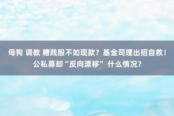 母狗 调教 糟践股不如现款？基金司理出招自救！公私募却“反向漂移” 什么情况？