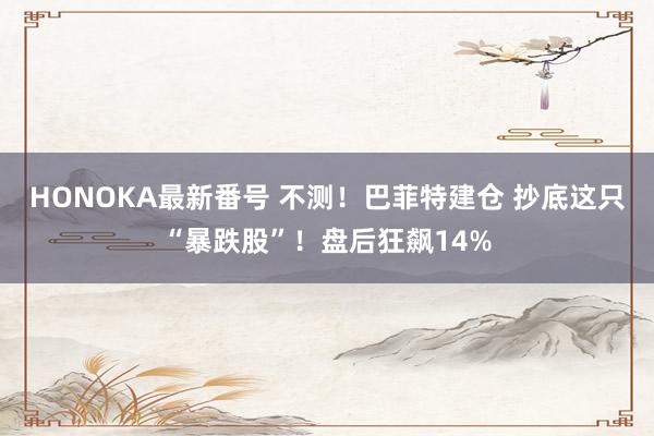 HONOKA最新番号 不测！巴菲特建仓 抄底这只“暴跌股”！盘后狂飙14%