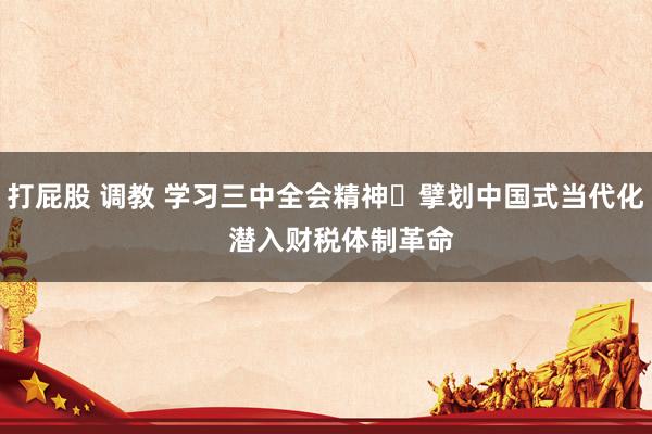 打屁股 调教 学习三中全会精神 擘划中国式当代化    潜入财税体制革命