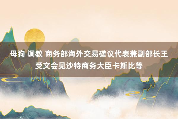 母狗 调教 商务部海外交易磋议代表兼副部长王受文会见沙特商务大臣卡斯比等