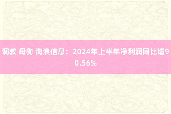 调教 母狗 海浪信息：2024年上半年净利润同比增90.56%