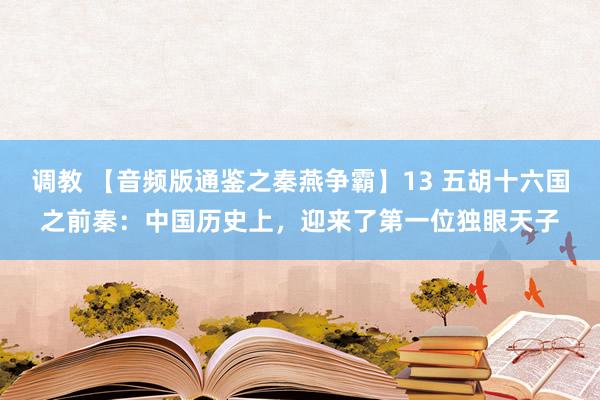 调教 【音频版通鉴之秦燕争霸】13 五胡十六国之前秦：中国历史上，迎来了第一位独眼天子