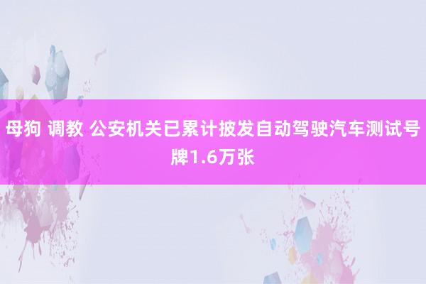 母狗 调教 公安机关已累计披发自动驾驶汽车测试号牌1.6万张