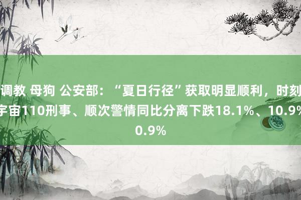 调教 母狗 公安部：“夏日行径”获取明显顺利，时刻宇宙110刑事、顺次警情同比分离下跌18.1%、10.9%